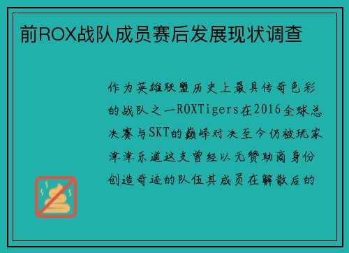 前ROX战队成员赛后发展现状调查